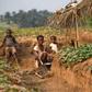 The violence sparked by the Kamwina Nasapu uprising in DR Congo's central Kasai region forced 1.4 million people out of their homes