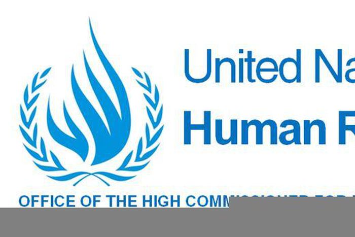 Office of the UN High Commissioner for Human Rights (OHCHR)