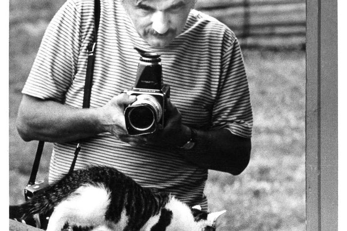 Walter Chandoha, 98, Photographer Who Took 90,000 Cat Pictures, Dies