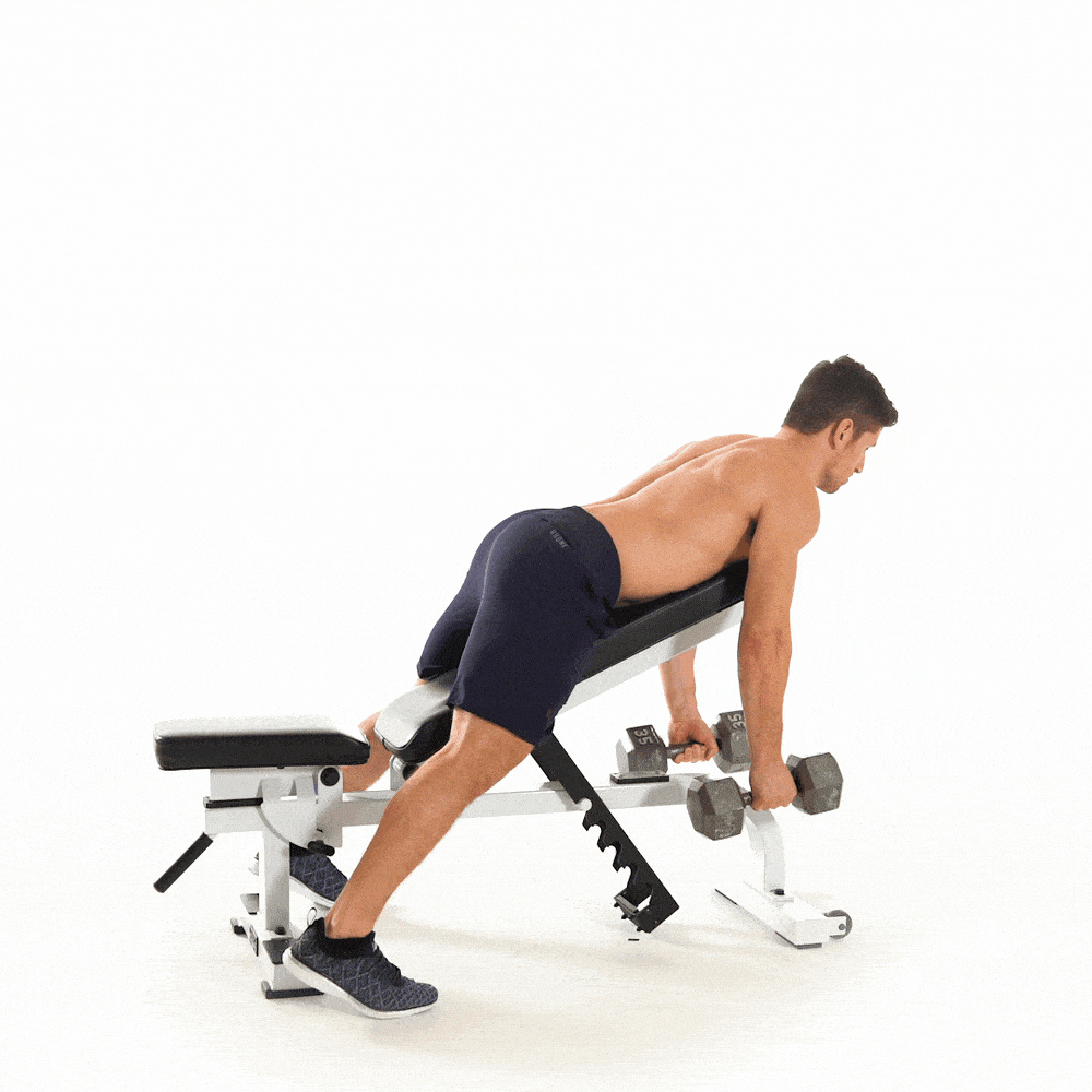 chest-supported row