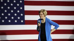 To Rise Above the Democratic Pack, Warren Tries 'Nerding Out'