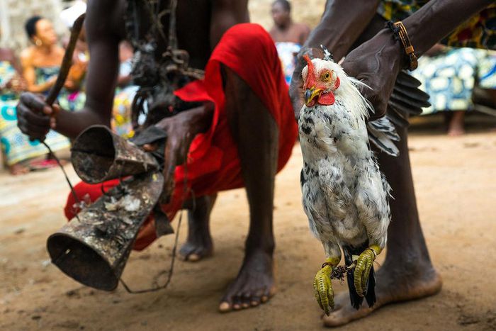 A trailer disrupted the flow of a ritual exercise being performed by the worshippers of the 'ogun' god. [Flickr]
