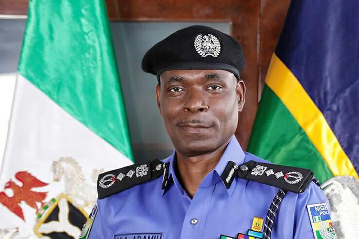 The acting Inspector General of Police, Mohammed Adamu [Vanguard]