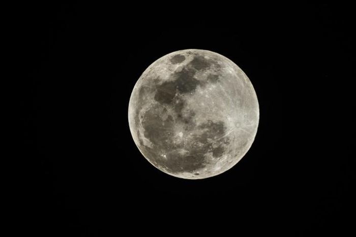 The so-called Super Blood Wolf Moon rises as a total lunar eclipse begins on Sunday in Miami, Florida