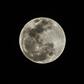 The so-called Super Blood Wolf Moon rises as a total lunar eclipse begins on Sunday in Miami, Florida