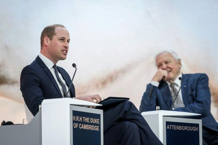 Britain's Prince William, Duke of Cambridge (L) got to turn the tables on veteran British naturalist, documentary maker and broadcaster David Attenborough by interviewing him at Davos