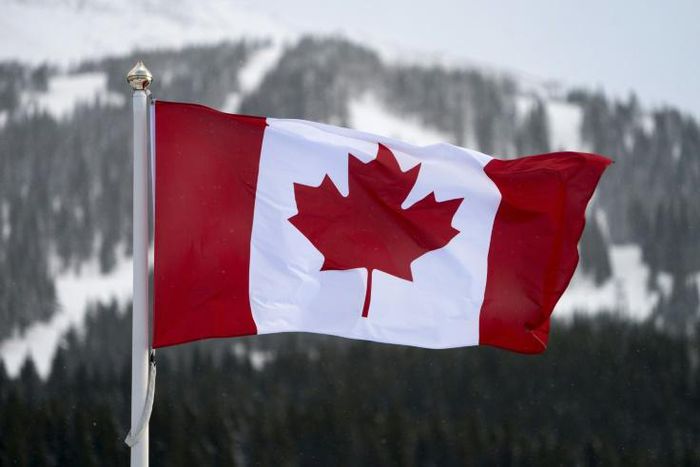 Fourteen people, including current and former diplomats and their families, are seeking Can$28 million ($21 million) in damages from the federal government