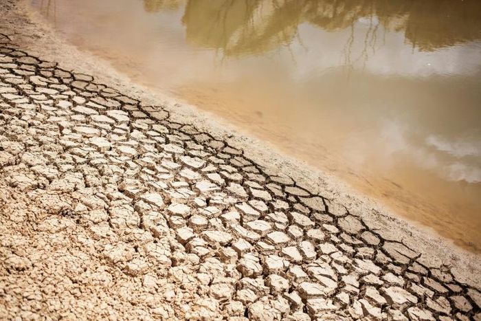 Regional and international leaders have linked global warming to conflicts and food insecurity in the Sahel and warned of an ecological disaster caused by diminishing water resources
