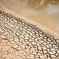 Regional and international leaders have linked global warming to conflicts and food insecurity in the Sahel and warned of an ecological disaster caused by diminishing water resources