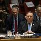 US Secretary of State Mike Pompeo attends a UN Security Council session in December 2018