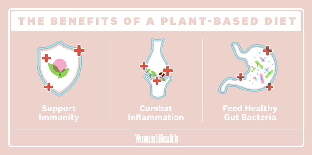 What Is The Plant-Based Diet?