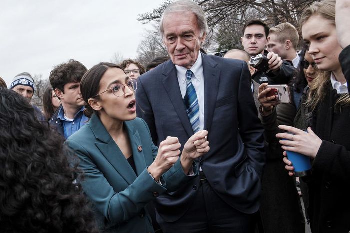 Liberal Democrats Formally Call for a Green New Deal, Giving Substance to a Rallying Cry