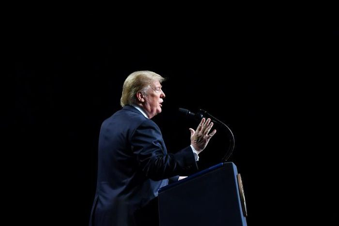 The second year of Trump's presidency was a turbulent one, ranging from damaging revelations in an investigation probing links between Trump's 2016 campaign team and Russia, to his controversial backing for a Supreme Court nominee accused of sexual ass...