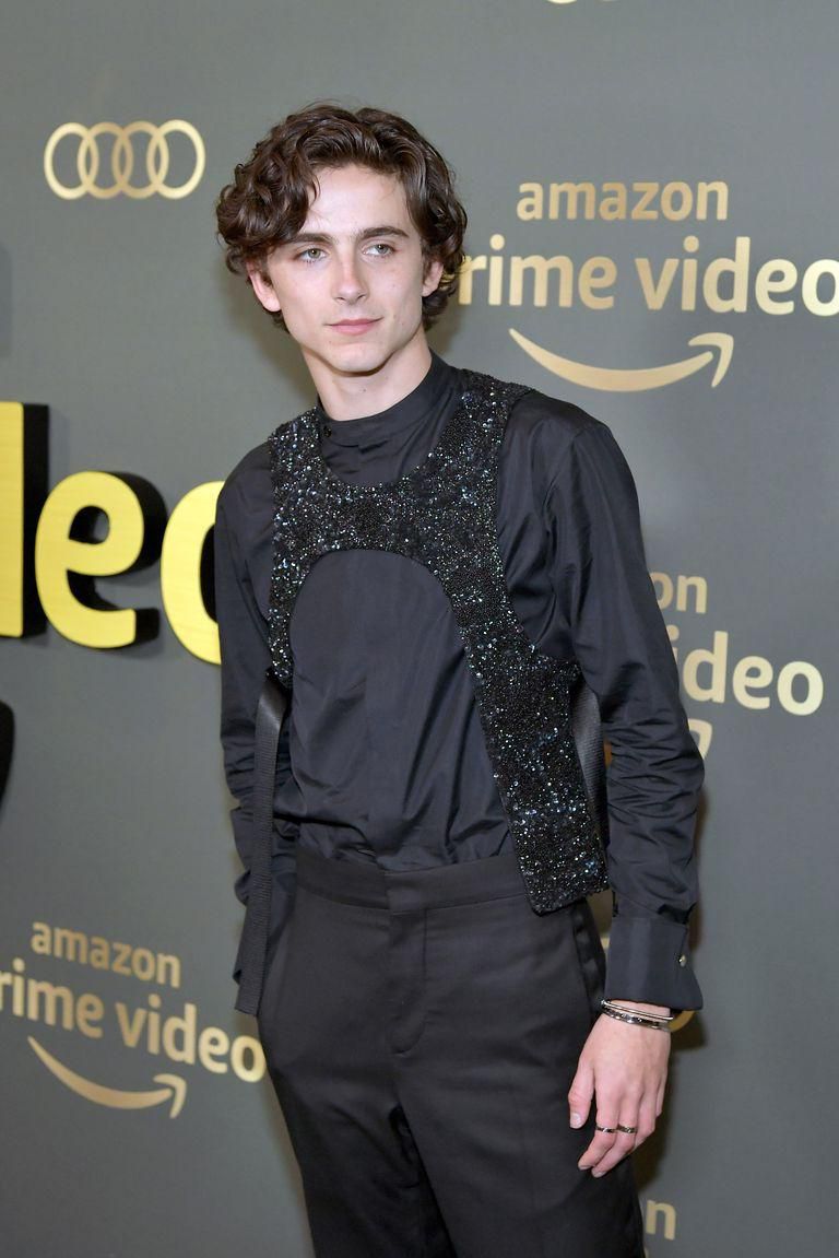 Timothy Chalamet wears a sparkly Louis Vuitton harness