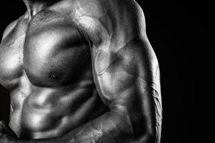 How Much Muscle You Can Add in 1 Month