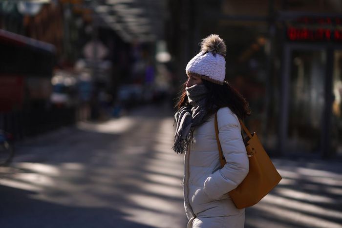 Homeless Find Refuge in the Subway as New York Copes With Deep Freeze