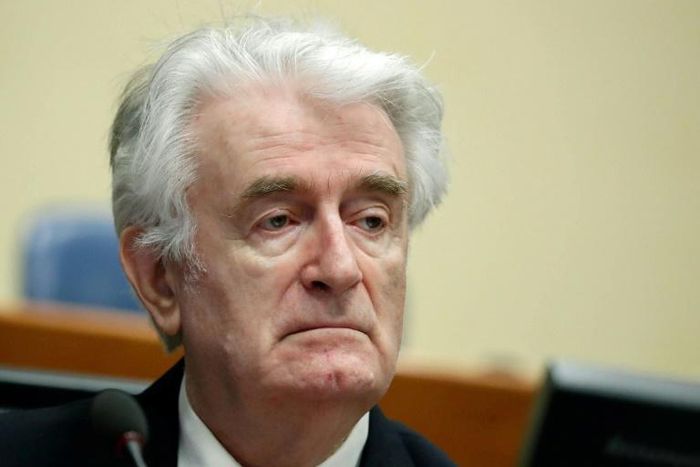 Former Bosnian Serb leader Radovan Karadzic has appealed his war crimes conviction denying he was behind a campaign of ethnic cleansing and murders in the mid-1990s