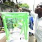An Electorate casting his vote [Guardian]