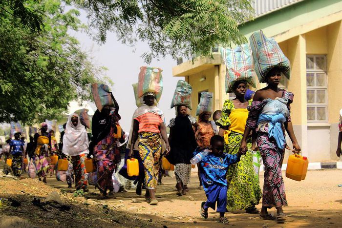 80,000 people displaced from North East Nigeria since November – UN