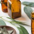 The 12 Best Eucalyptus Oil Benefits