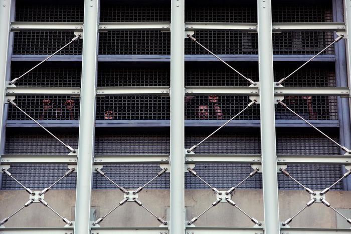 'Cold as Hell': A Dark Week In a Harsh Jail