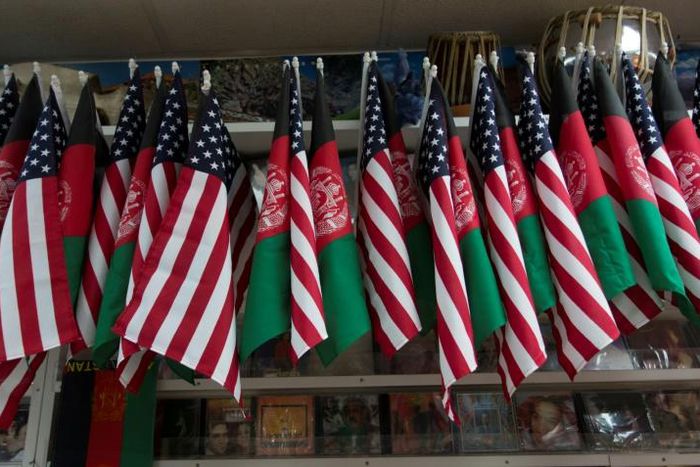 The Taliban have named a new head of their political office as talks continue with US officials aimed at bringing peace to Afghanistan