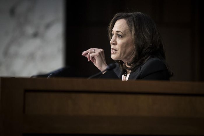 Kamala Harris Joins Democratic Presidential Field