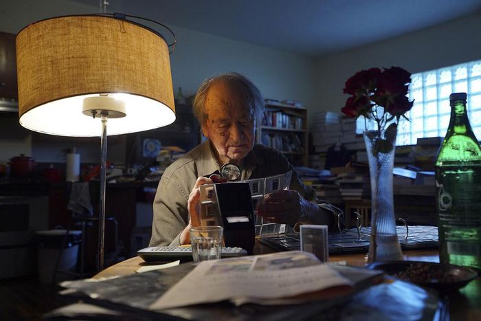 Jonas Mekas, 'Godfather' of American Avant-Garde Film, Dies at 96