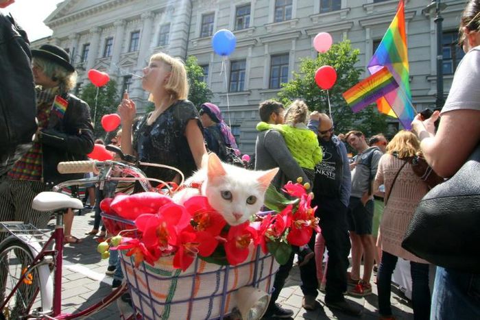 LGBT rights demonstrators gather in 2016, in Vilnius