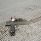 Flowers lie at spot in Prague where student Jan Palach set himself alight 50 years ago