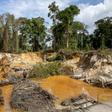 At illicit gold mining camps in French Guiana, miners strip away the soil to sift for golden flecks while trying to dodge authorities
