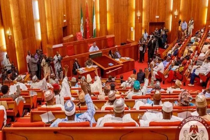 Bill to protect persons with mental health scales second reading in Senate