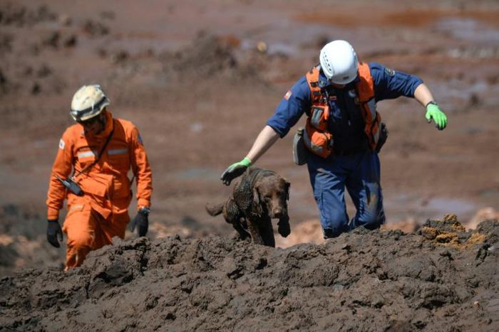 A rescue dog and firefighters search for victims of a dam collapse at an iron-ore mine belonging to Brazil's giant mining company Vale near the town of Brumadinho, Minas Gerais state