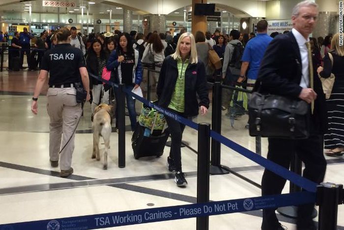 Passenger took loaded gun by accident on Delta flight to Tokyo, TSA says