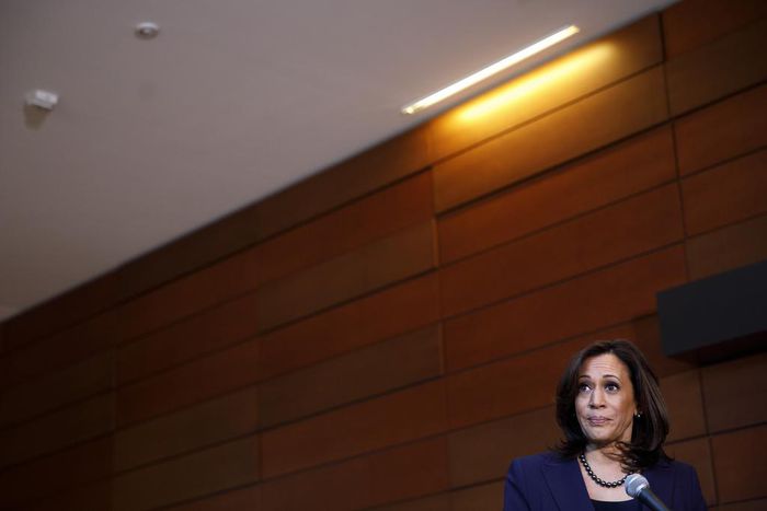 2020 Democrats Agree: They're Very, Very Sorry