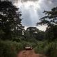 Central Africa has been blighted by sectarian violence since 2013, despite the presence of UN peacekeepers and multiple attempts to broker a peace deal