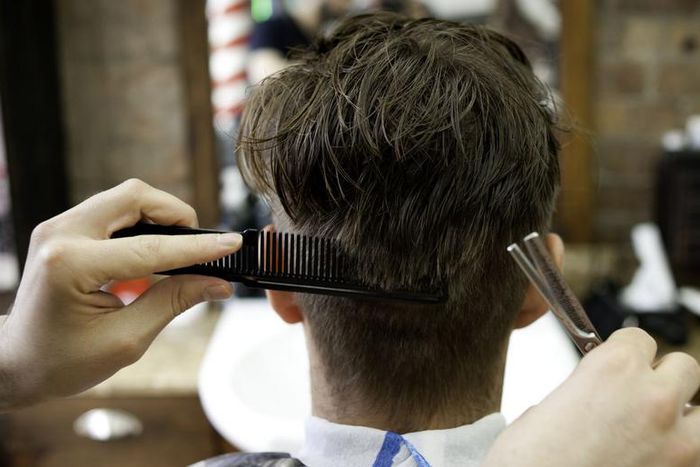 Is An Expensive Haircut Really Worth It?