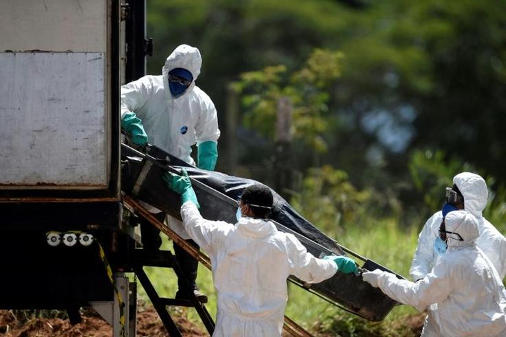 Infectious diseases and parasites are a risk, along with rats and mosquitos carrying diseases