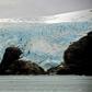 In Seno Ballena, a fjord located in the interior of the Strait of Magellan in the Chilean Patagonia, the waters are shedding light on the future of climate change and its effects on marine organisms