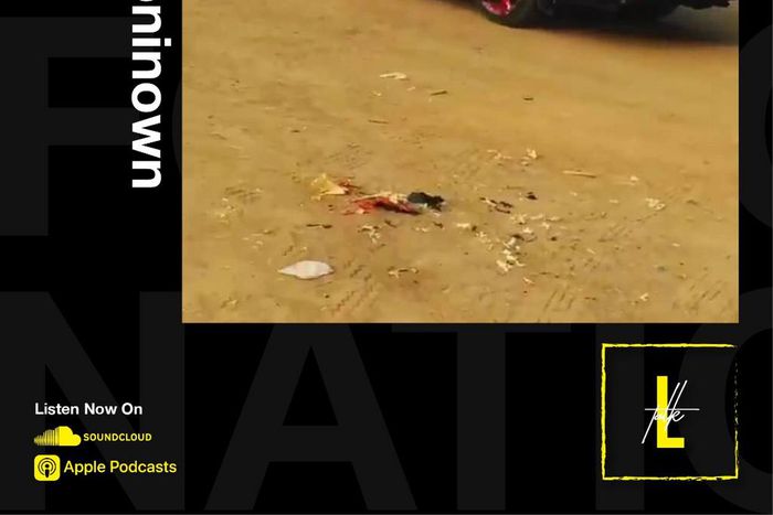 Loose Talk Podcast - Episode 156 - Turning On Its Own (Pulse Nigeria)