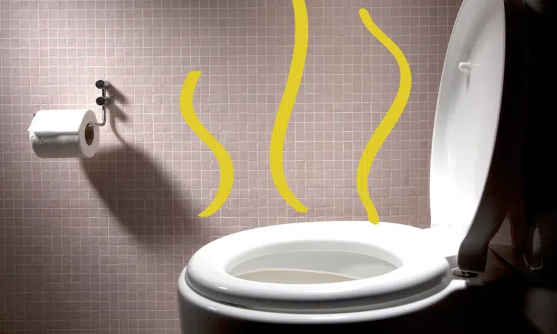 Why your pee smells funny [self]