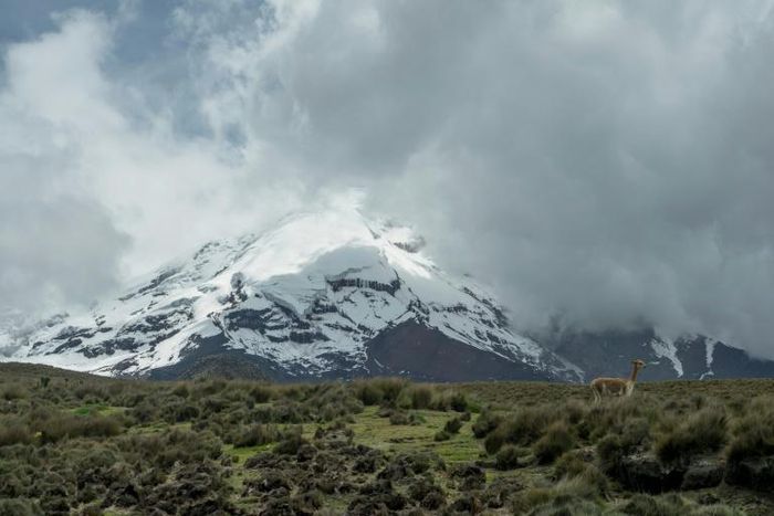 The glacier capping the Chimborazo volcano is receding, and the consequences for the indigenous population living on its slopes are far reaching