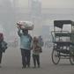 For the well-heeled in New Delhi, eating out means enjoying a gourmet spread amid sprawling green spaces but the poor must deal with dust and toxic fumes from vehicles zipping past rickety roadside food stalls in the world's most polluted major city