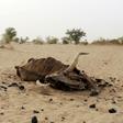 The region regularly suffers from devastating spells of drought
