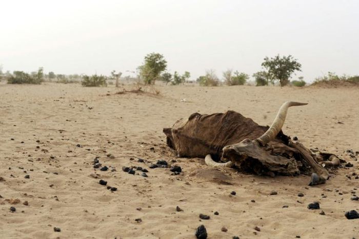 The region regularly suffers from devastating spells of drought