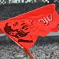 A supporter of incumbent Indonesian president Joko Widodo waves a flag bearing his portrait at an election rally in Jakarta