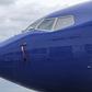 Some 350 Boeing 737 MAX 8s are in operation around the world