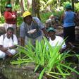Britain allowed a few of the evicted Chagossian islanders back for a brief visit in 2006