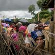 About 740,000 Rohingya have fled Rakhine state to Bangladesh since August 2017 following a brutal military crackdown that UN officials described as "ethnic cleansing"
