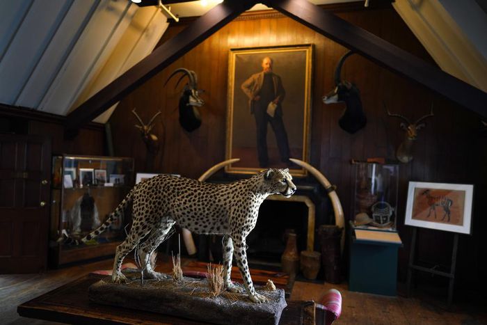 'I Do It From My Couch': The Next Generation of Explorers